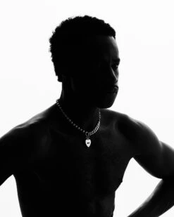 Icon Heart Necklace -Twojeys Sales Store 9250013