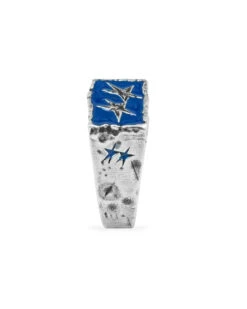 Ignorant Icon Ring Blue -Twojeys Sales Store FT014 1