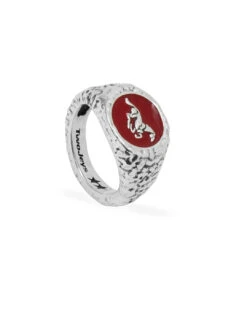 Enameled Horse Ring -Twojeys Sales Store FT015 1 50ab9f68 40cd 4650 9c11 093132337c4a