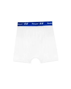 Icon Boxer Briefs 10 Icon Boxer Briefs -Twojeys Sales Store FT075 15229880 cdbc 4f61 bb01 4e7f6c92ff66